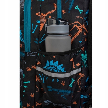 Шкільний рюкзак CoolPack Jerry з динозаврами, багатокамерний, 21 л