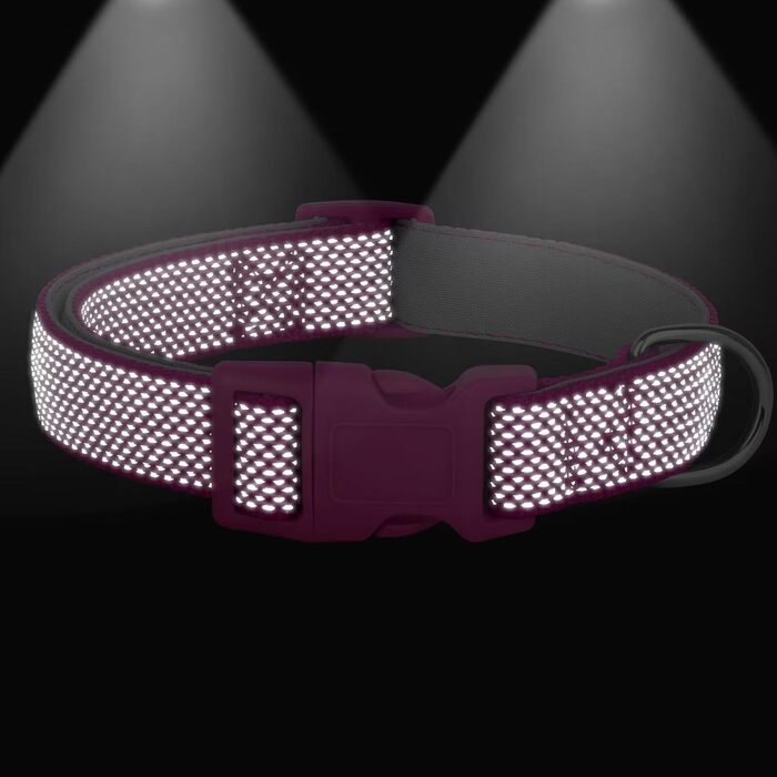 Світловідбиваючий нашийник для собак Didog з пряжкою, регульований, м'який неопрен, з підкладкою, нейлон, для малих, середніх та великих собак, зелений, L (M: Neck 25-43cm, Hot Pink)