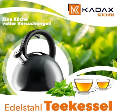 Чайник KADAX з нержавіючої сталі, 3л, з свистком, ретро дизайн, різні кольори, ефект Ombre, (Блакитний/Сірий)
