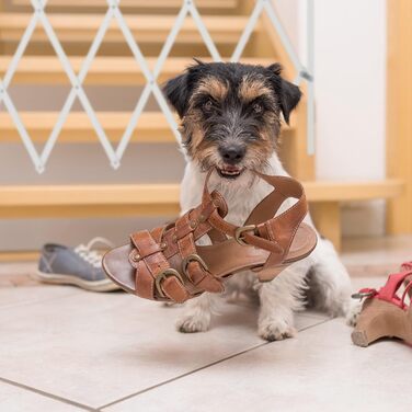 Захисне ворота для собак Relaxdays, висувне до 130 см, висота 87,5-100 см, бамбук, біле (L)