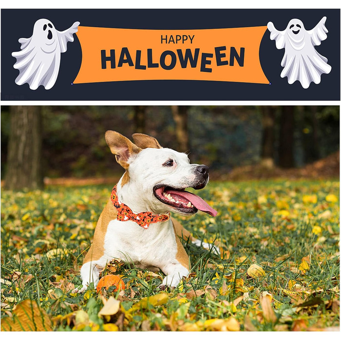 Нашийник для собак Unique Style Paws з метеликом, регульований, для середніх собак (S, 1 шт.), для святкування Хелловіну