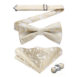 HISDERN Комплект краватки, кишенькового хустинки та краваткових затискачів для чоловіків, Пазлі, для весілля, свят, Різдва, Хелловіну, A1-Бежевий