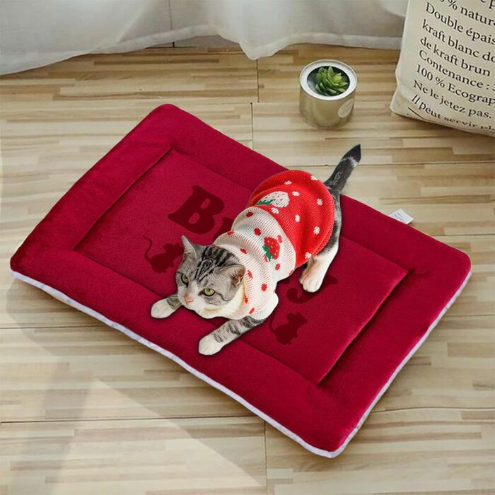 Персоналізована килимок для собак, килимок для лежанки, миється, 69x52 см, червоний