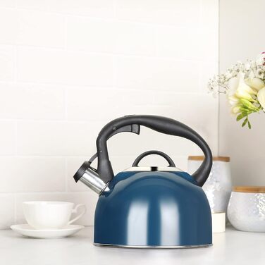 Чайник-свисток 2,5 л з нержавіючої сталі для індукції, газу, з емальованим покриттям (блакитний)