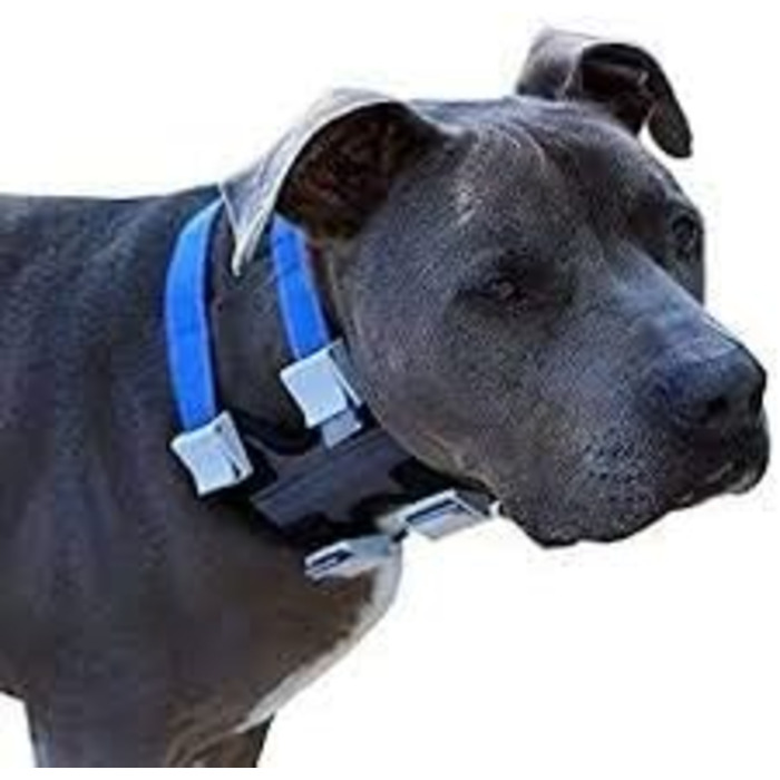 Pack Leader Collar™ - Dog Whisperer Cesar Millan Training Collar (Medium, Gray)