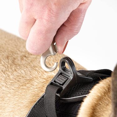 Шлейка для собак з кільцем D-Ring, чорна, розмір M, mit curli