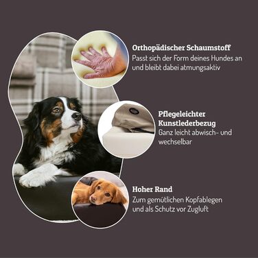 Ортопедичне ліжко для собак SABRO KUDDE Martin Rütter – Штучне шкіряне, миється, водовідштовхувальне, ергономічне, преміум аксесуар для маленьких собак, кремовий колір