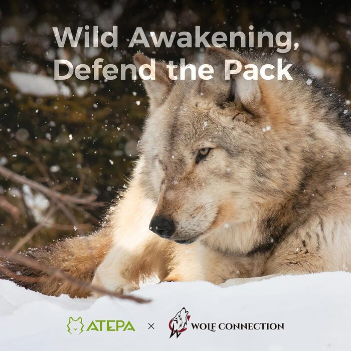 ATEPA 3-Season Down Sleeping Bag - Recyclable 650FP, Lightweight with Removable Blanket - Adult Quilting Sleeping Bag for Backpacking & Hiking (Pro Green, ThermaExtreme Pro Max)
