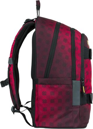 Шкільний рюкзак Baagl для хлопчиків та дівчаток-підлітків з відділенням для ноутбука та нагрудним ременем (Гаррі Поттер Гоґвортс)