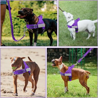 Нашийник для собак Eyein для великих та середніх собак, м'який, з 2 застібками, світловідбиваючий, легкий, анти-тяга, для прогулянок та тренувань (S, фіолетовий)