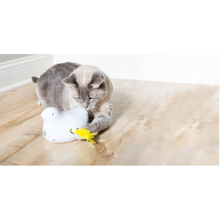 PetSafe Cat Toy, Interactive Engagement Toy with Timer, 3 AA Batteries Required (Peek-a-Bird)
