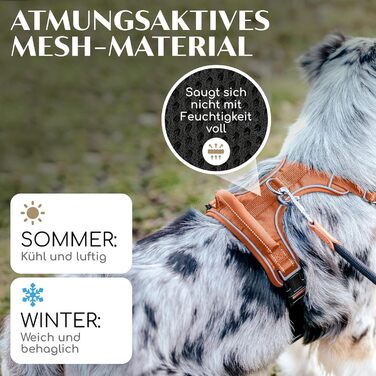 FREUDENTIER Dog Harness with Mesh Padding - Maximum Comfort, Bombproof Fit & Maximum Safety - Anti-Pull Front Ring - Chest Harness for Large, Medium and Small Dogs (Orange, XS)