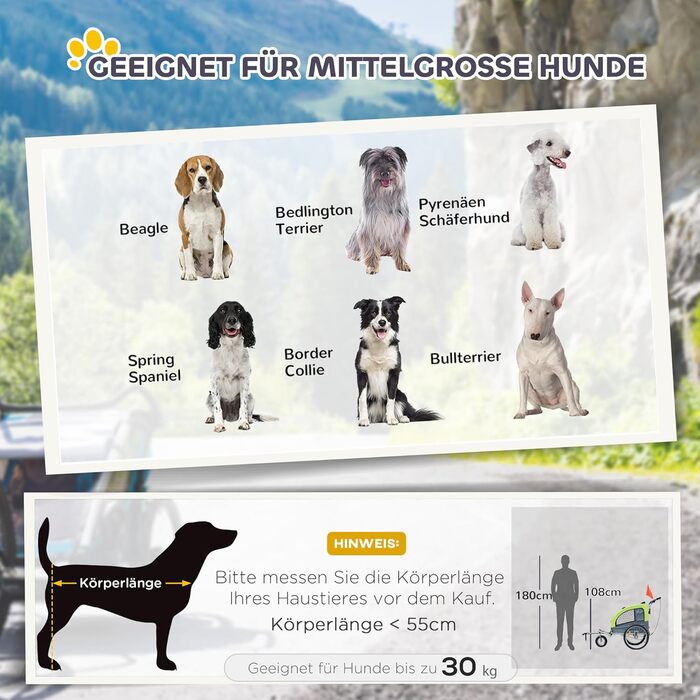 PawHut 2-в-1 Причіп для собак, велосипедний причіп для собак, візок для собак з відбивачами, прапорцем, причіп для собак PawHut, Oxford-тканина (Зелений)