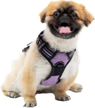 Шлейка для собак середніх порід Ferplast, 2 карабіни для контролю, шлейка від тяги, регульована, світловідбиваюча та дихаюча, ідеальна для тренувань, M, Бежевий (Purple, SMALL)