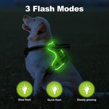 Нашийник для собак Masbri світловідбиваючий, регульований, з ручкою, м'який, світловідбиваючий, для собак середніх та великих порід, чорно-білий, TC3005B (L, Зелений)