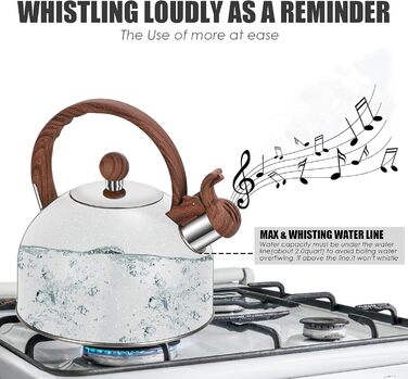 Чайник заварний 2.5L з нержавіючої сталі для всіх плит (індукція), сучасний з дерев'яною ручкою сірого кольору