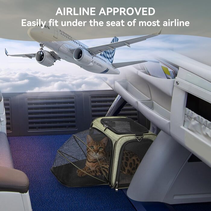 Транспортна сумка для кота Petsfit, схвалена авіаперевізниками, розширювана, зелена, розмір S, 41x25x23 см