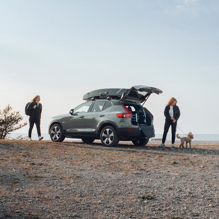 Трейлер для собак Thule Allax Hundebox Black/Aluminum XL Compact - переноска для собак в авто