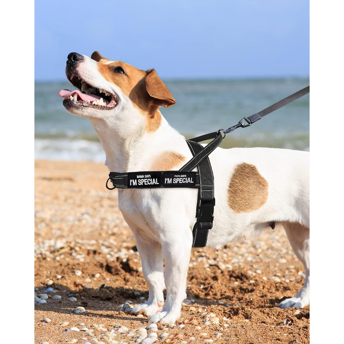 Шлейка для собак без тяги, не виривається, відбиваюча, регульована (Чорний, M) для малих та середніх собак, обхват грудей 53–70 см