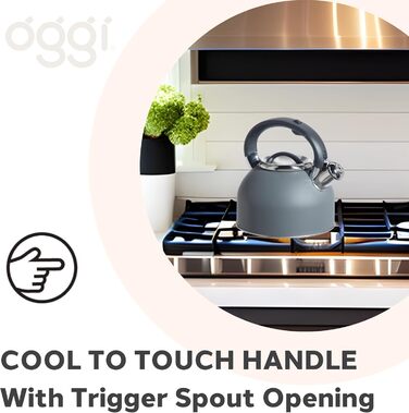 Чайник OGGI для плити, 1.9 л, нержавіюча сталь, з гучною свистком, ідеальний для приготування гарячої води