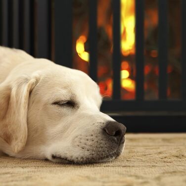 Захисне ворота Relaxdays для собак, 70x207 см, чорний, розкладне