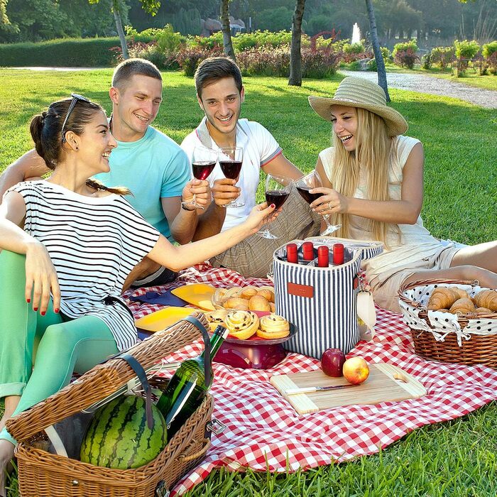 Kato Tirrinia Insulated Wine Cooler Bag, 4 Bottle Cooler Bag Wine Bag Beverage Bags with Handle and Adjustable Shoulder Strap, Gift for Wine Lovers for Picnic, Party, Beach (Cooler Bag 4 Bottles - Stripes)