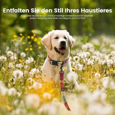 Набір повідка та нашийника для собак, регульований, для щоденних прогулянок, червоний, XS (22-30 см, повідка 1.5 м)