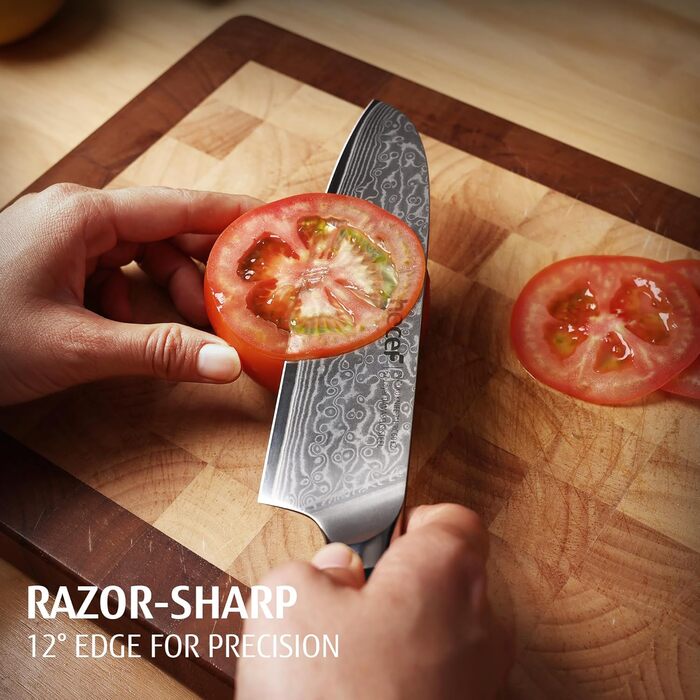 Японський ніж Hecef Damast з високоякісною ручкою з харчової смоли, 20 см. Професійний ніж для кухні з 67 шарів дамаської сталі, гострий, з захистом для леза. Ідеальний подарунок шеф-кухарю та поціновувачу кулінарії.