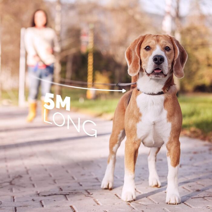 Висувна поводок для собак FurDreams – міцний, 5-метровий поводок з надійним затискачем | Нековзний ручка з контролем блокування | Міцний нейлоновий поводок, що не заплутується & гачок для нашийника (Чорний, Великий) Чорний Великий