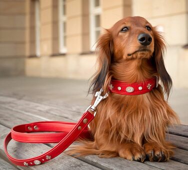 Julieta Leine, leather dog leash, leather lead for dogs, MATCHES Julieta collar, Red, leather, with lilies, rhinestones, and a large crystal