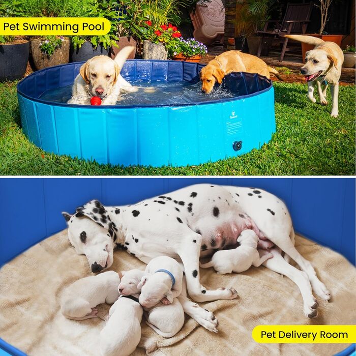 Pawaboo Foldable Dog Pool, Dog Bath, Swimming Pool for Dogs, Easy Storage, Durable Scratch-Resistant Pet Pool for Puppies and Cats, Portable Splash Pool for Pets (80cm x 20cm, S) (120cm x 30cm - Large)