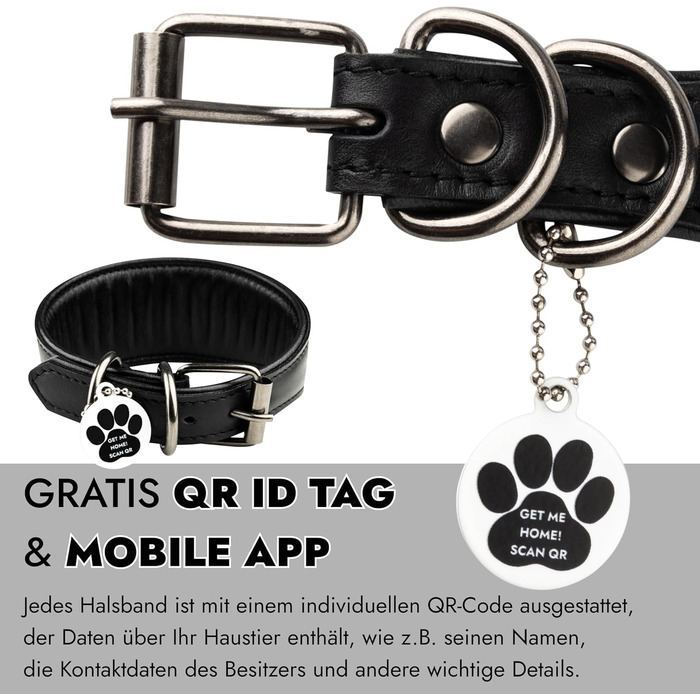Стильне шкіряне нашийник для породистих собак (Вінтерхаунд, Віпет, Салукі) з QR-кодом, розмір M