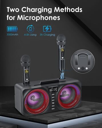 Караоке система All-in-One з Bluetooth, 2 мікрофонами та акустикою 30W, для вечірок (Red2)