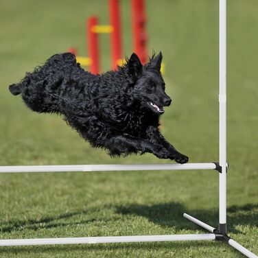 Набір для аджиліті для собак Grün 4X: набір шлагбаумів, регульована висота, 104x70x101 см