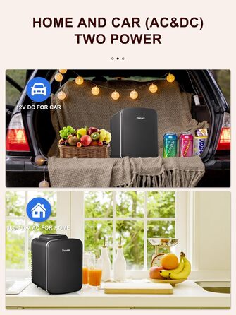 Reemix Mini Fridge - 4L / 6 Can Capacity - Portable Cooler & Warmer