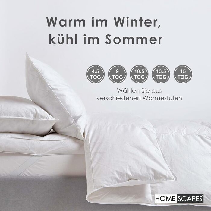 Homescapes Warm Winter Comforter, 230 cm x 220 cm, Down Comforter Heat Class 4-5 with 85% Goose Down and 15% Feathers, Down Comforter, Quilted Comforter Öko-Tex Certified 230 x 220 cm