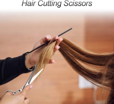 Професійний набір фенів CIICII: фен для волосся та фен для бороди (6,7 дюйми) для чоловіків, жінок та домашнього використання. Чорний та срібний