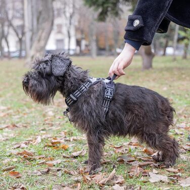 Шлейка для собак Ferplast середнього розміру, 2 гачки для контролю, анти-тяга, регульована, світловідбиваюча та дихаюча, ідеальна для тренувань, M, Бежевий (Сірий, S)