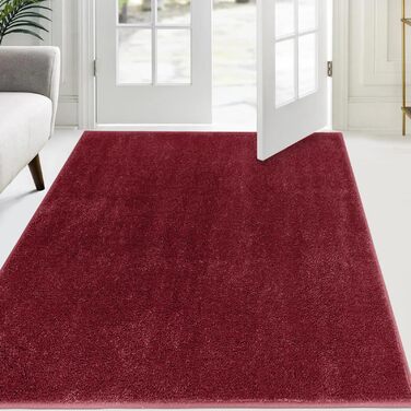 Килимок для дому 50x80 см, антиковзаючий, машинне прання, поглинаючий воду, для собак, вхід, перед дверма, коридор (137x210 см, червоний)