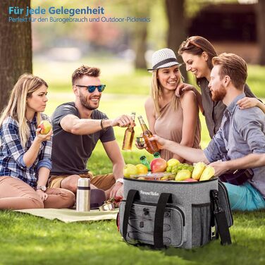 20L Large Collapsible Cooler Bag for On the Go, Insulated Bag Thermal Bag Cooler Bag for Food & Drinks, Portable Cooler Box for Camping Beach BBQ Grilling Picnic Hiking Shopping, Grey