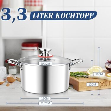 Каструля Joyfair 20 см з кришкою з термостійкого скла, 3.3 л, нержавіюча сталь преміум-класу, для всіх типів плит, індукція, без покриття, стійка до миття в посудомийній машині