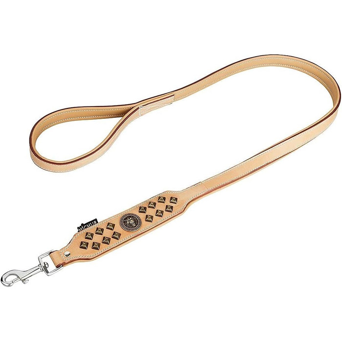 MICHUR Diego Beige Leine, Leather Dog Lead, Flat Lead, Leather Lead Dog, MATCHES Diego Brown Beige Gold Collar, Size 150cm x 2.5cm
