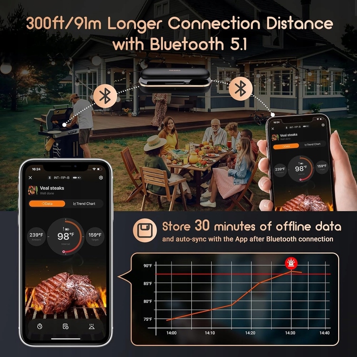 Електронний термометр з щупом Inkbird, 0-250 °C