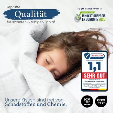 Gentle North High-Quality Pillowcases (80x80 cm large) in Hotel Quality - 2-Piece Set Fluffy, well-filled pillows suitable for allergy sufferers (Ökotex 100 certified) - Washable at 60° 2x | 80x80