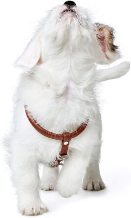 Нашийник для собак HUNTER Round & Soft Canadian UP, колір: Cognac, м'яка, еластична шкіра, прошитий по колу, щадний до хутра, екологічний, Made in Germany, розмір: S/1 S/1 cognac