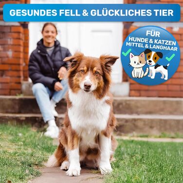 Буршлюк для собак та котів з довгим хутром BluePet: щітка та гребінець для видалення підшерстя та ковтунів | Захист верхнього шару шерсті