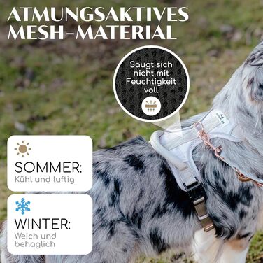 Шлейка для собак Freudentier з ручкою, дихаюча, з м'якою підкладкою - надійна фіксація та максимальна безпека, протисмикова, для собак маленьких, середніх та великих порід - шлейка для великих собак (XL)