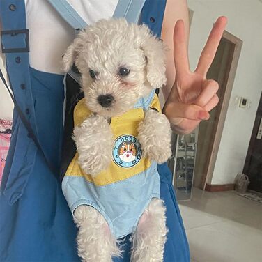 Портативна переносна сумка-рюкзак для собак та котів, XL, червона. Зручна для подорожей, походів, кемпінгу. Регульована, з 4 отворами для лап. Підходить для маленьких та середніх собак та котів, цуценят.