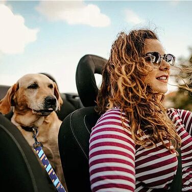 Автомобільний ремінь безпеки для собак AYADA: еластичний, регульований, з відбиваючим нейлоном, для заднього сидіння, фіксація, для котів та інших тварин, карабін (фіолетовий)