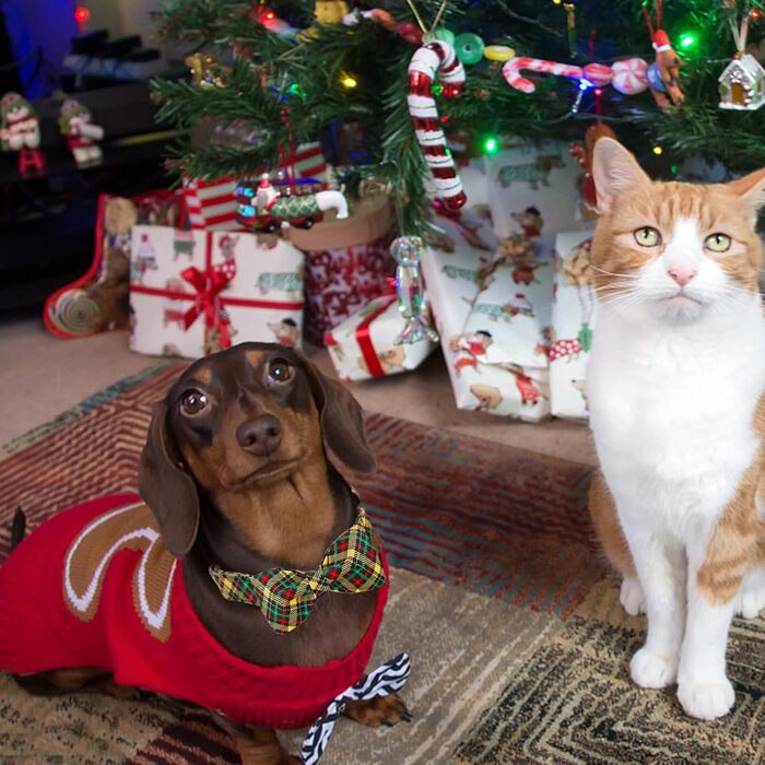 Нашийник для собак Lionheart Glory з візерунком у клітинку, регульований м'який нашийник з краваткою, нашийник з бантиком для середніх собак, подарунок для домашніх тварин, червоно-зелена клітинка (S, 1 шт.), різдвяний зелений